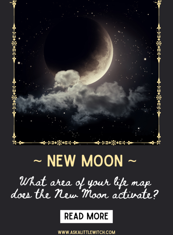 The New Moon in the Houses in Astrology