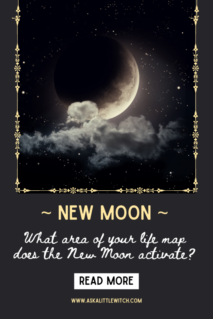 Learn about the New Moon in the houses of Astrology and what it manifests for your zodiac sign